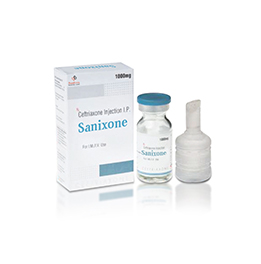 Sanixone